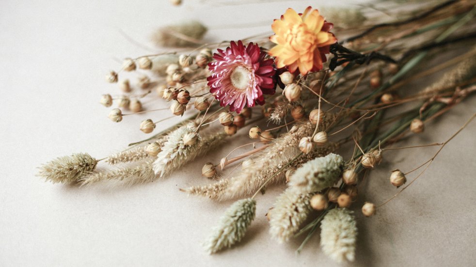 dried flowers